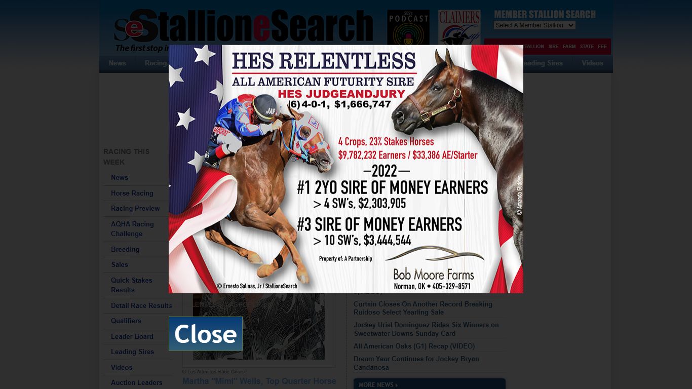 StallioneSearch.com